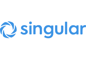Logo Singular